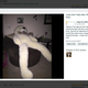 Image for article titled The Mad Scientist Behind That Creepy, Viral, Long-Legged Bear Explains Himself